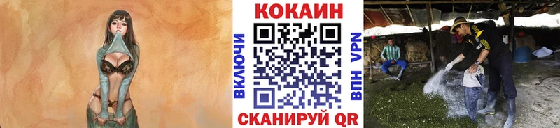 гидра зеркало  Агрыз  Cocaine Колумбийский 
