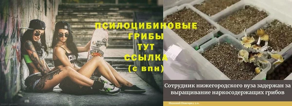 jwh Пересвет