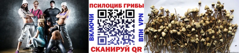 Галлюциногенные грибы GOLDEN TEACHER  Агрыз 